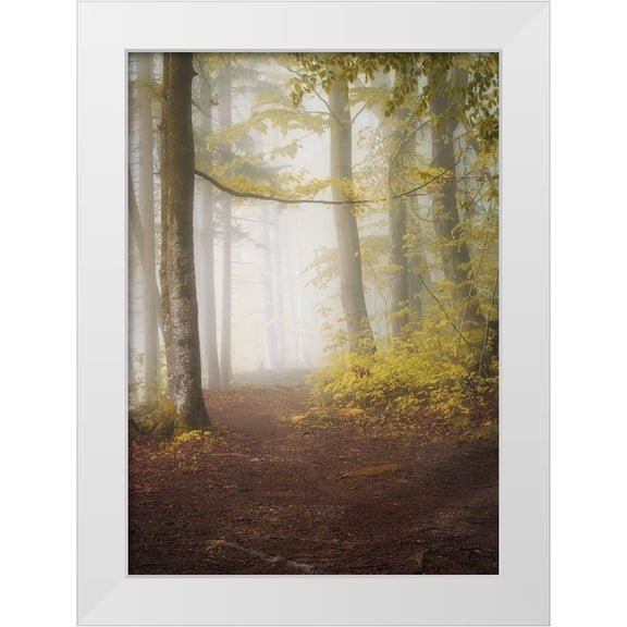 Maier, Norbert 11x14 White Modern Wood Framed Museum Art Print Titled - Lets go for a walk