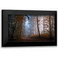 thumbnail image 1 of Maier, Norbert 14x10 Black Modern Framed Museum Art Print Titled - Autumn Colors, 1 of 5