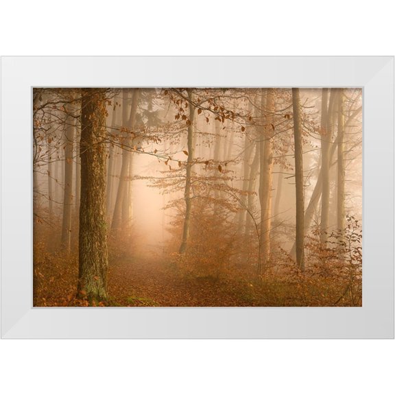Maier, Norbert 14x11 White Modern Wood Framed Museum Art Print Titled - A year has gone