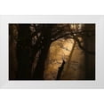 thumbnail image 1 of Maier, Norbert 14x11 White Modern Wood Framed Museum Art Print Titled - Colors Of Fall, 1 of 4