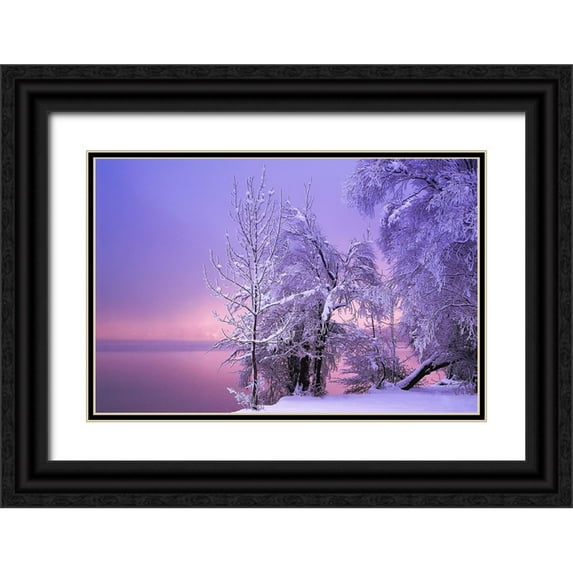 Maier, Norbert 18x13 Black Ornate Wood Framed with Double Matting Museum Art Print Titled - Stillness