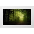 thumbnail image 1 of Maier, Norbert 24x16 White Modern Wood Framed Museum Art Print Titled - Spring Secret, 1 of 4