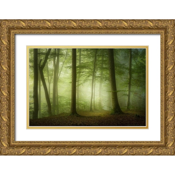 Maier, Norbert 32x23 Gold Ornate Wood Framed with Double Matting Museum Art Print Titled - Mysterious Spring Morning