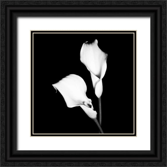 Maihara, Jeff 15x15 Black Ornate Wood Framed with Double Matting Museum Art Print Titled - Calla Portrait I