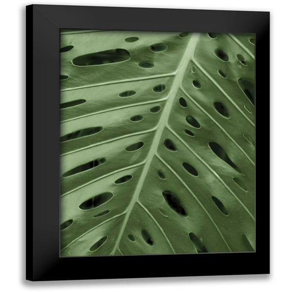 Maihara/Watt, Jeff/Boyce 12x14 Black Modern Framed Museum Art Print Titled - Tropica II