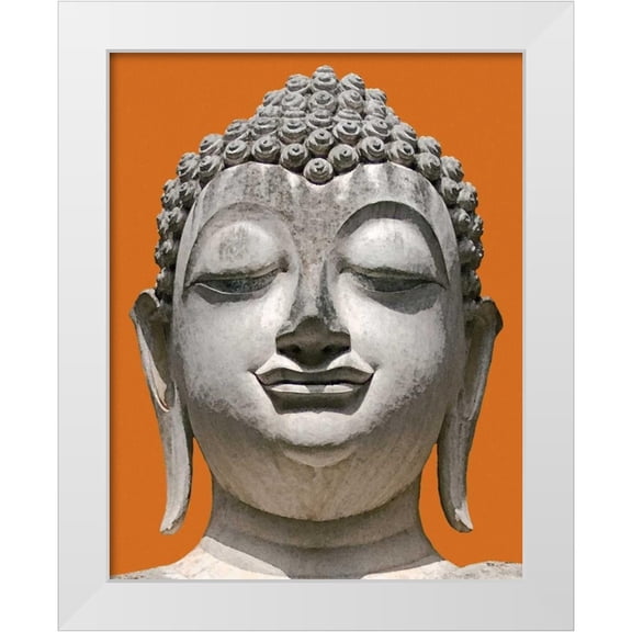 Maihara/Watt, Jeff/Boyce 12x14 White Modern Wood Framed Museum Art Print Titled - Aura II