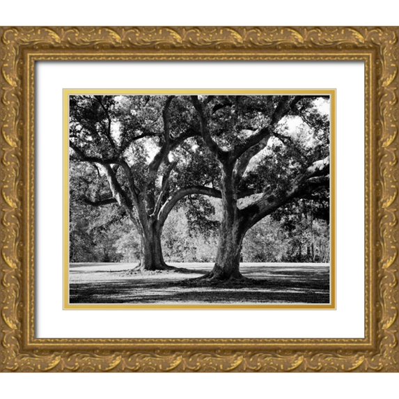 Maihara/Watt, Jeff/Boyce 18x15 Gold Ornate Wood Framed with Double Matting Museum Art Print Titled - Oak Grove I