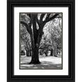 thumbnail image 1 of Maihara/Watt, Jeff/Boyce 19x24 Black Ornate Wood Framed with Double Matting Museum Art Print Titled - Oak Tree Study, 1 of 4