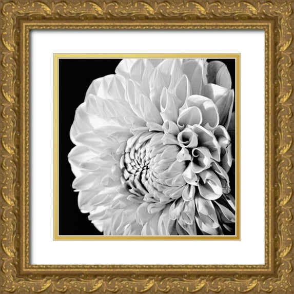 Maihara/Watt, Jeff/Boyce 20x20 Gold Ornate Wood Framed with Double Matting Museum Art Print Titled - Sunburst II