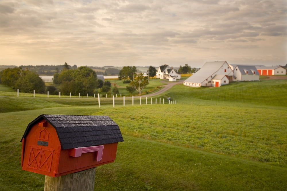 Mail Box On Farm Land Mayfield Prince Edward Island Canvas Art - John Sylvester Design Pics (34 x 22)