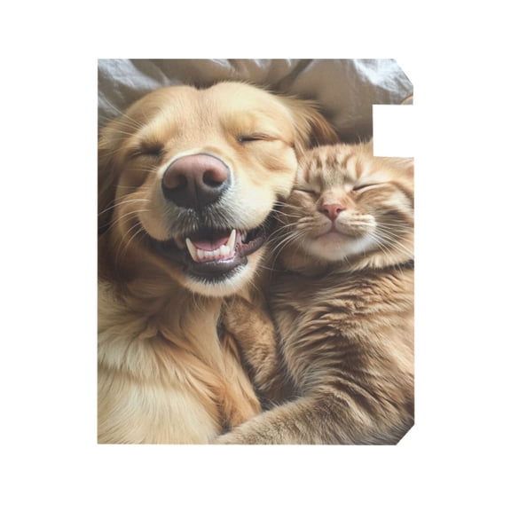 Mailbox Covers Cut Cat and Dog Pattern Fashion Mailbox Cover