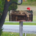 thumbnail image 1 of Mailbox Covers Sleeping Cat Painting Mailbox Cover, 1 of 9