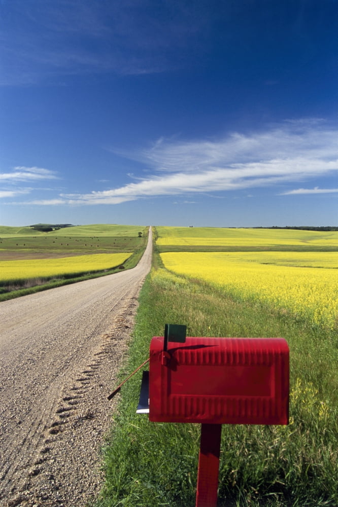 Mailbox On Country Road Tiger Hills Manitoba Canvas Art - Dave Reede Design Pics (11 x 17)