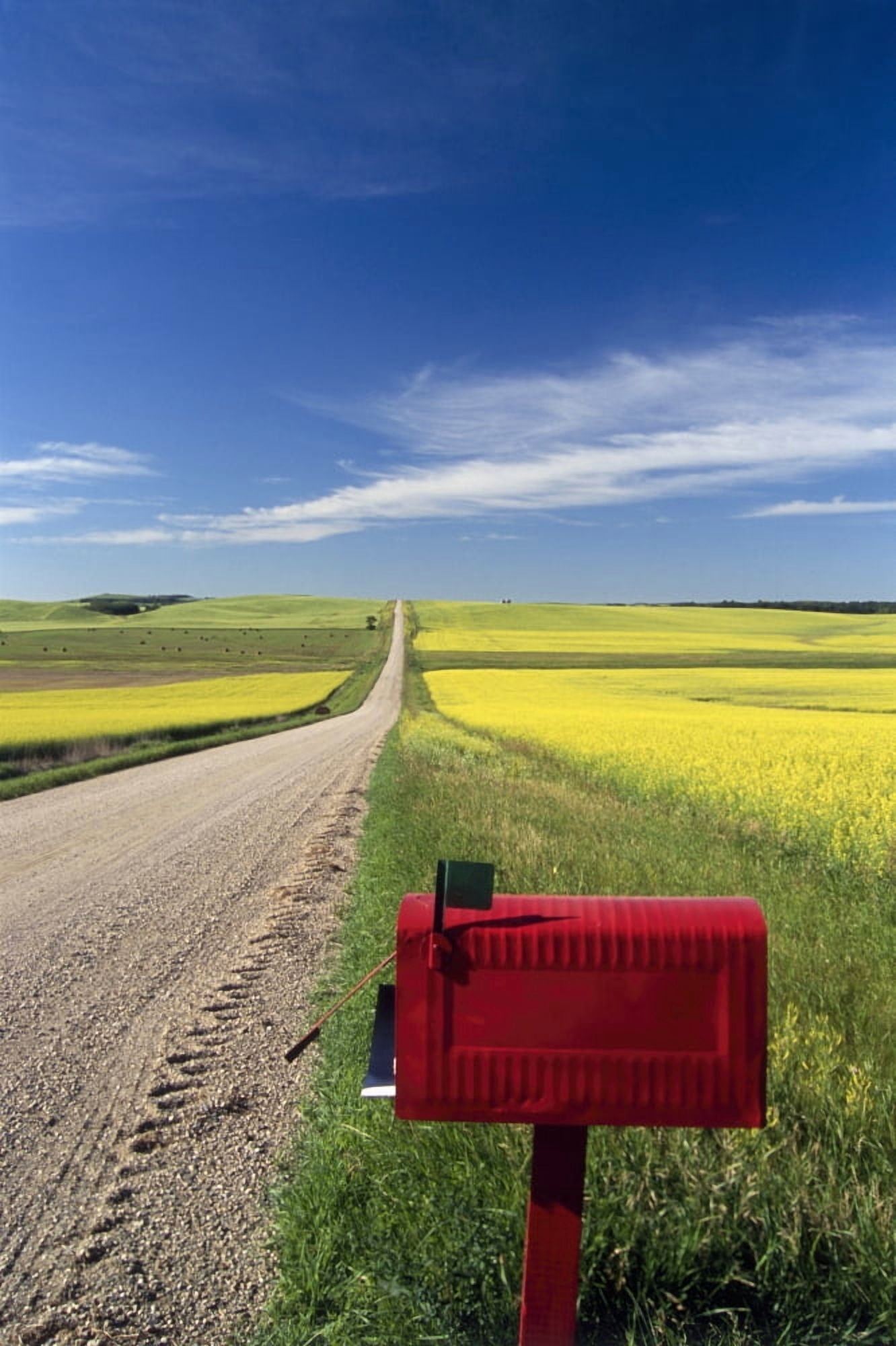 Mailbox On Country Road Tiger Hills Manitoba Canvas Art - Dave Reede Design Pics (22 x 34)