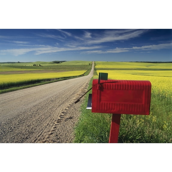 Mailbox On Country Road, Tiger Hills, Manitoba Poster Print (17 x 11)