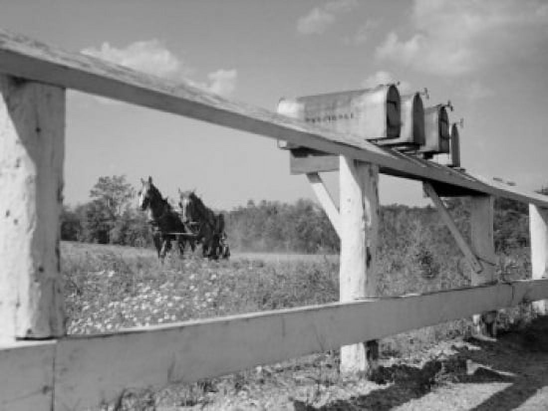 Mailboxes on farm fence Canvas Art -  (24 x 36)