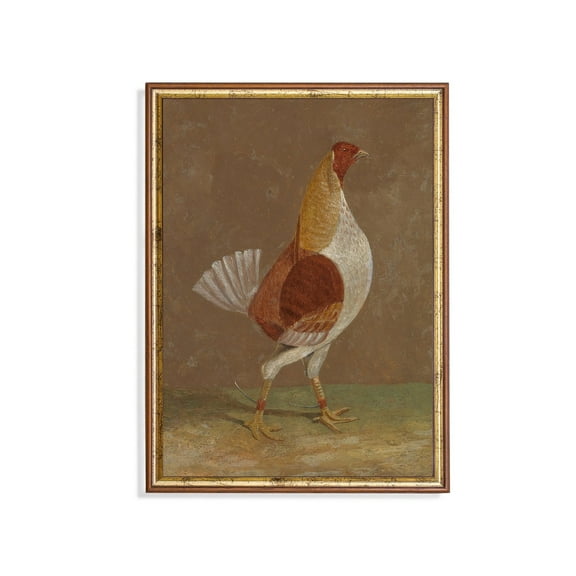 Mailed Print, Vintage Cock, Antique Fighting Cock Print, Rooster Artwork, Farmhouse Decor, Fine Art, Stretched Canvas Size 16x24