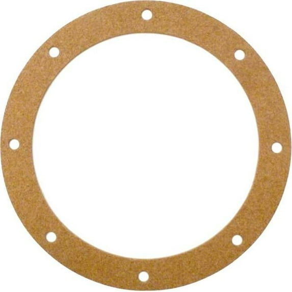 Main Drain Gasket