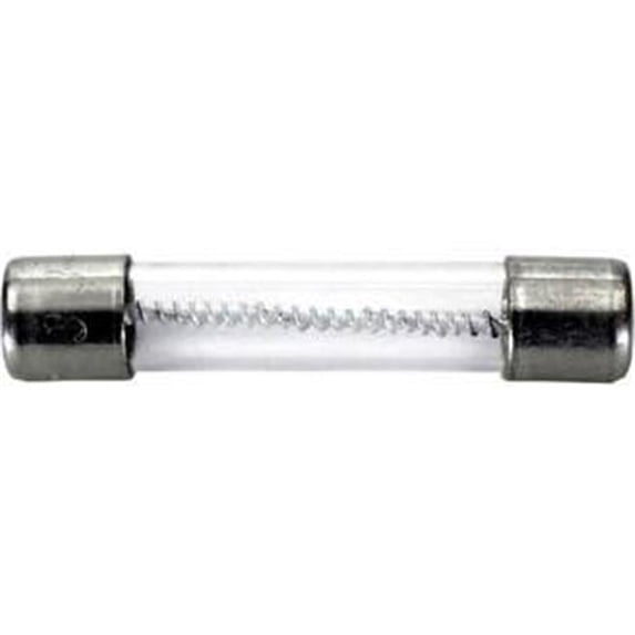 Main Power Fuse