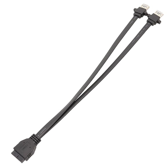 Mainboard Usb3.0 Panel Cable Front 19Pin to Two Port A Female Data Cable Shielded USB Extension Cable