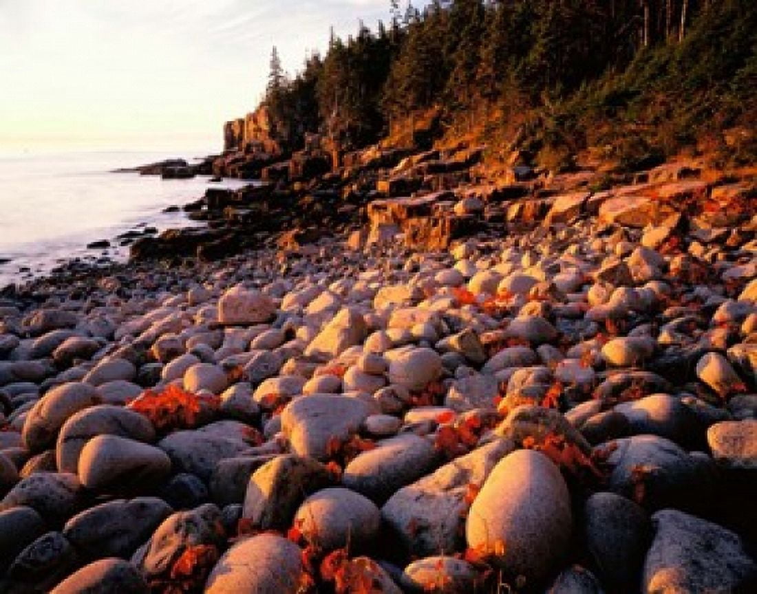 Maine Acadia National Park Canvas Art - Panoramic Images (16 x 12)