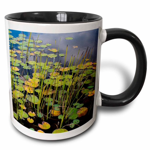 3drose, Maine, Acadia National Park, Reflections on a Lily Pad Covered Pond., 15oz Two-tone Black Mug
