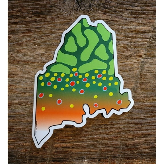 Maine Brook Trout Skin Sticker Decal