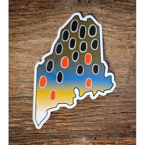 Maine Brown Trout Skin Sticker Decal