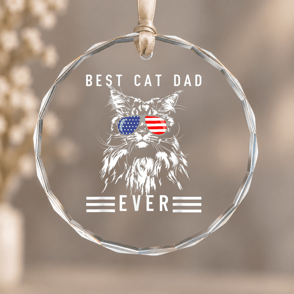 Maine Coon Cat Best Cat Dad Ever Cat Maine Coon Ornament, Hanging Decor ...