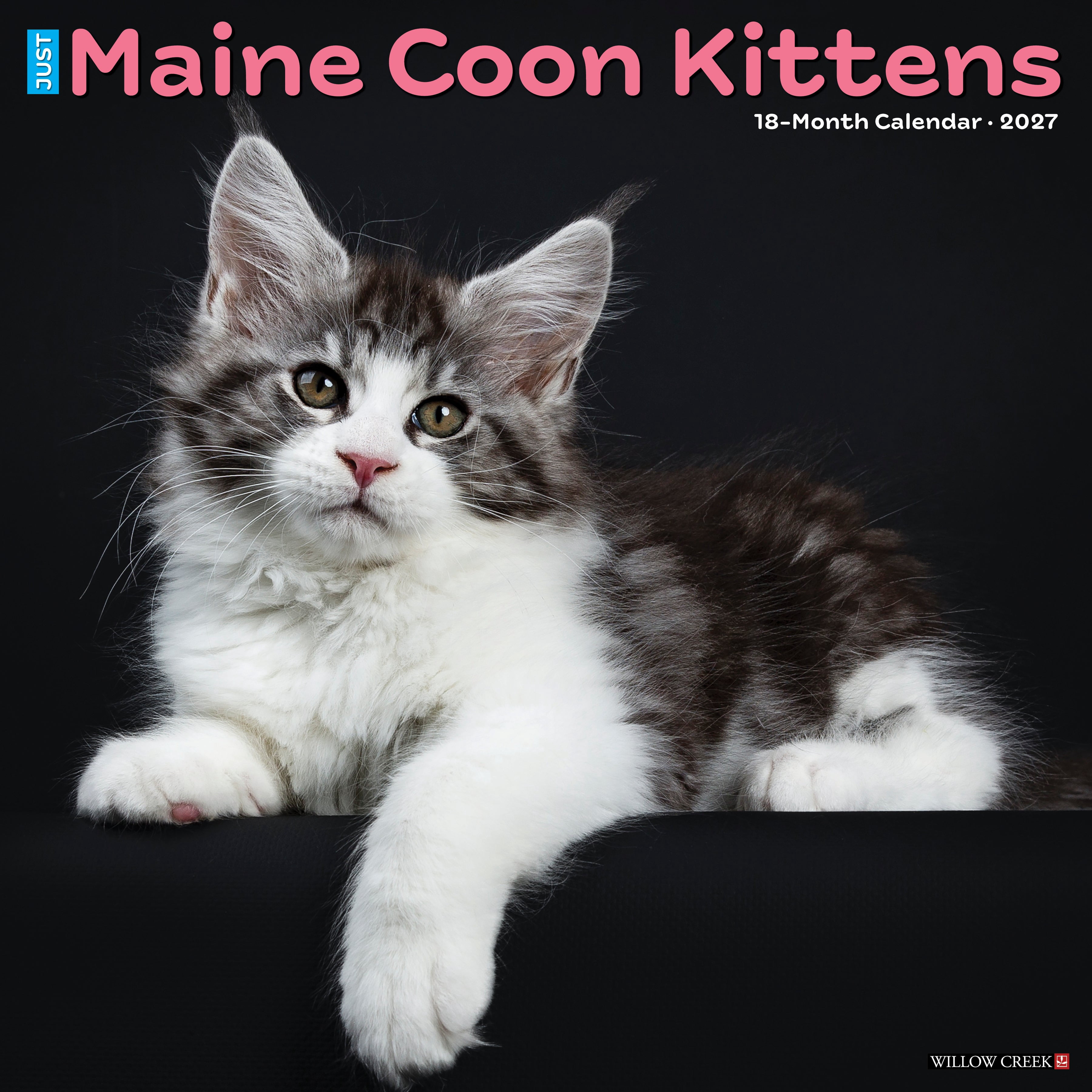 Willow Creek Press, Maine Coon Kittens 2027 Wall Calendar