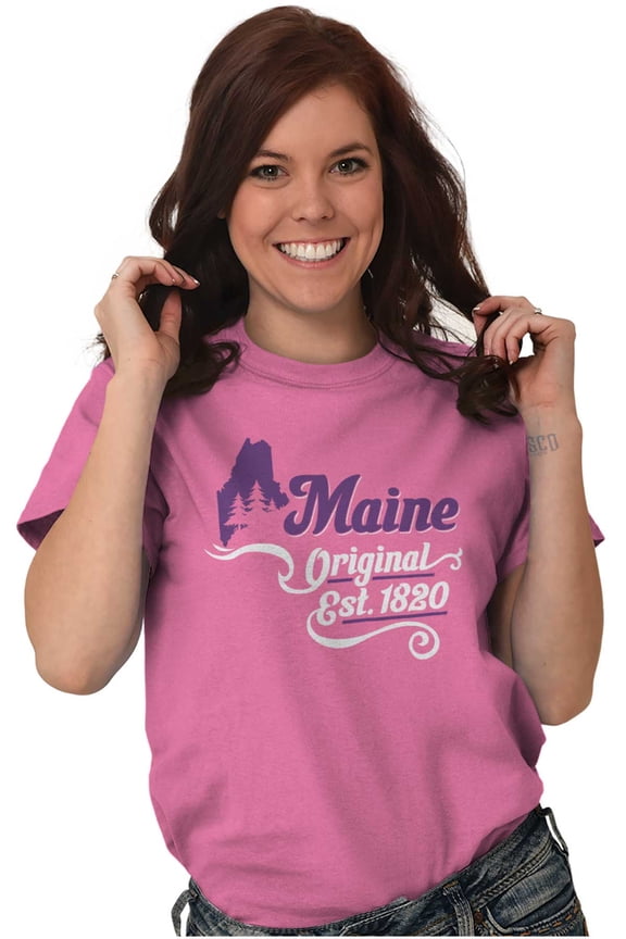Maine Cute Pine State Shape Filagree Women's Plus Size Graphic Tee Brisco Brands 2X