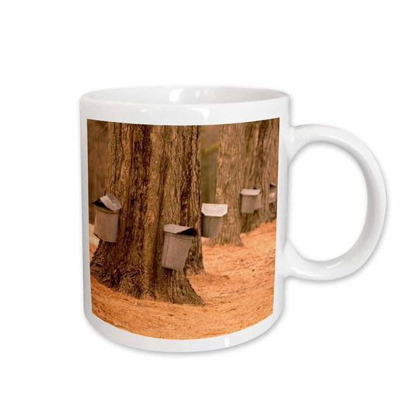 3drose, Maine, Harpswell. Tapping Maple Trees in Spring - Us20 Bja0025 - Jaynes Gallery, 11oz Mug