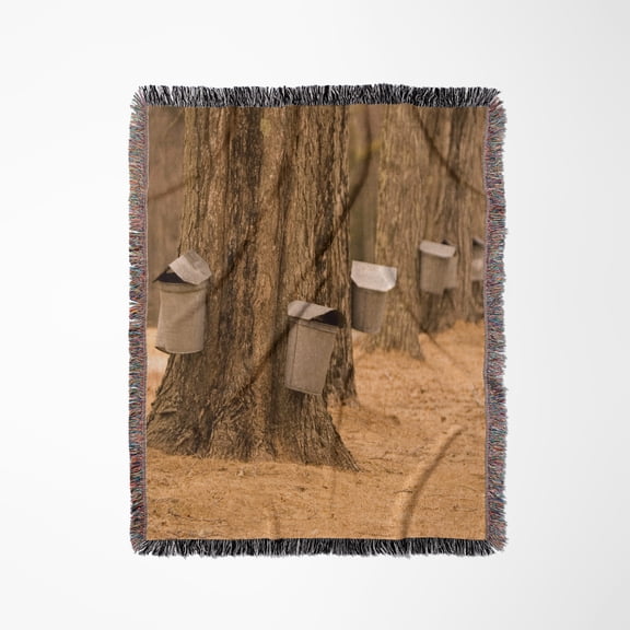 Maine, Harpswell. Tapping Maple Trees In Spring - Us20 Bja0025 - Jaynes Gallery, Woven Blanket