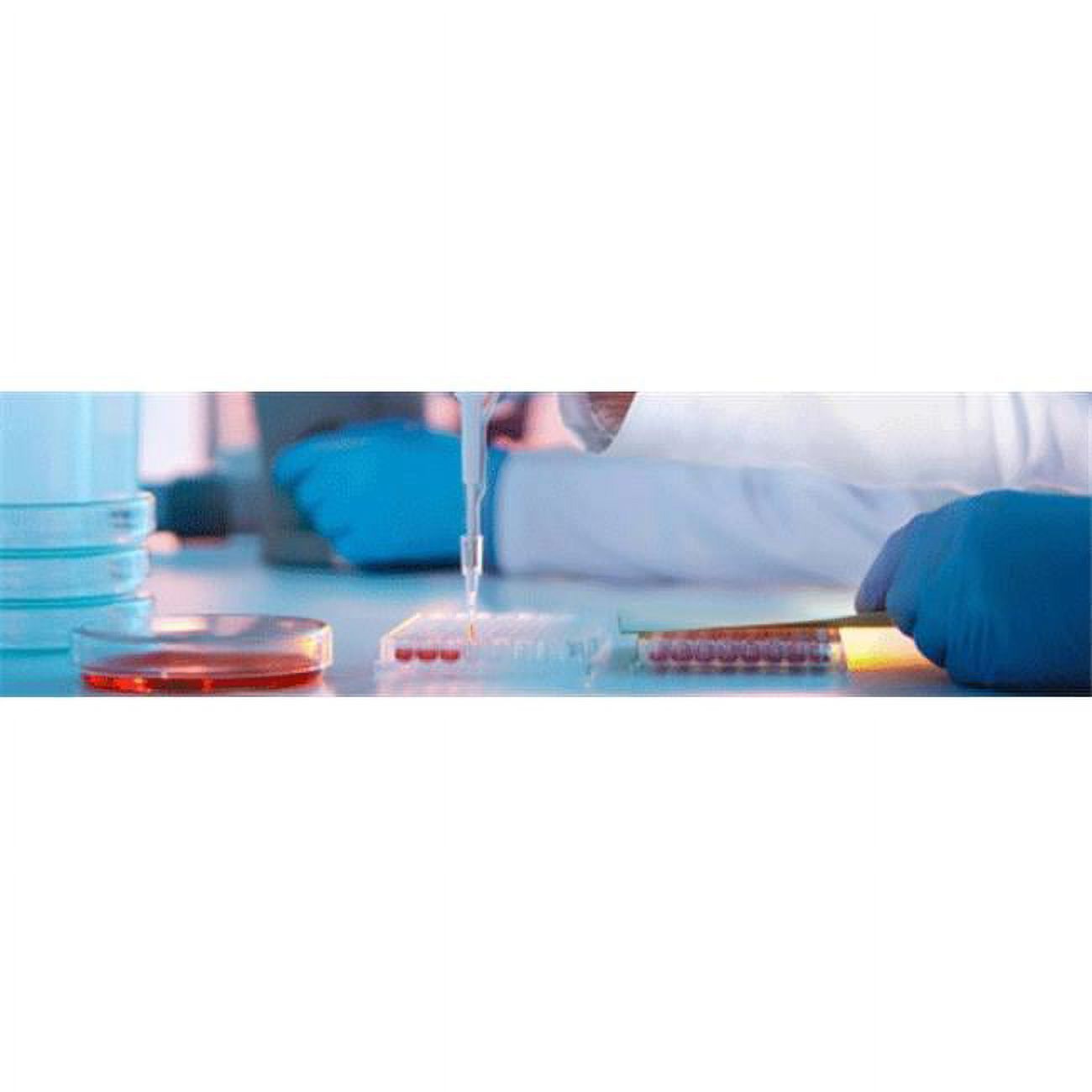 Maine Manufacturing GBS 10496745 Colicheck MUG Presence & Absence Test ...