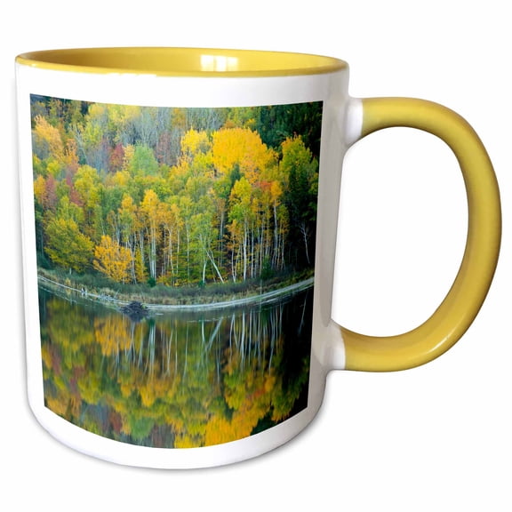 3drose, Maine. Reflections at Beaver Dam Pond in Acadia N.p., 11oz Two-tone Yellow Mug