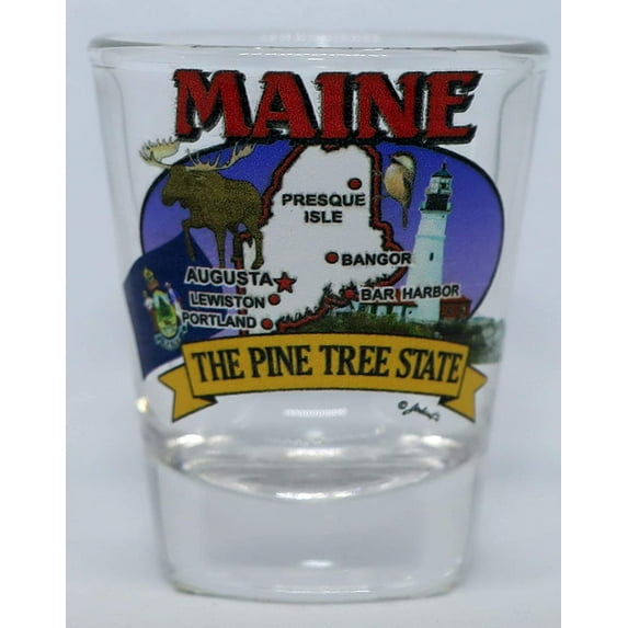 Maine State Elements Map shot glass
