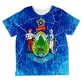 thumbnail image 1 of Maine Vintage Distressed State Flag All Over Toddler T Shirt Multi 4T, 1 of 2