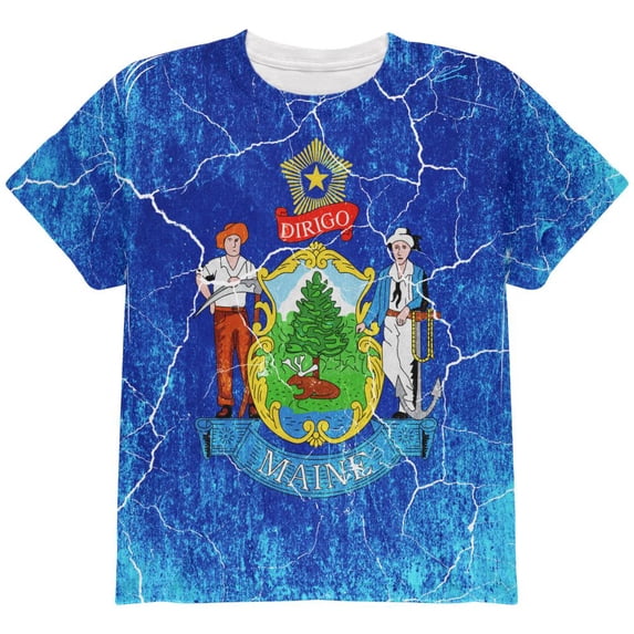 Maine Vintage Distressed State Flag All Over Youth T Shirt Multi YLG