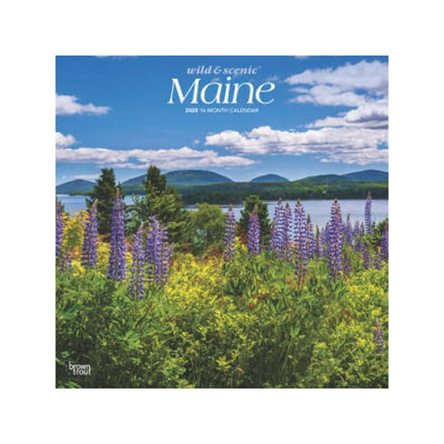 Maine Wild & Scenic 2025 12 X 24 Inch Monthly Square Wall Calendar