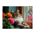 thumbnail image 1 of Maine coon cat relaxing - Photography Cat Flowers Floral Animal Garden Botanical Nature Unframed Wall Art Print 5 x 7 inches, 1 of 4