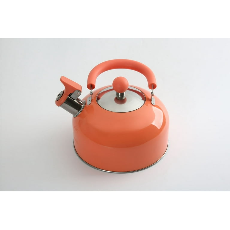 Classic Unique long spout Hot Tea Kettle - stainless steel - Made in China