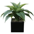 thumbnail image 1 of Mainstays 10.5" Artificial Dracaena Plant Arrangement in Black Ceramic Pot (10.5"H x 11"W x 10.5"D), 1 of 5