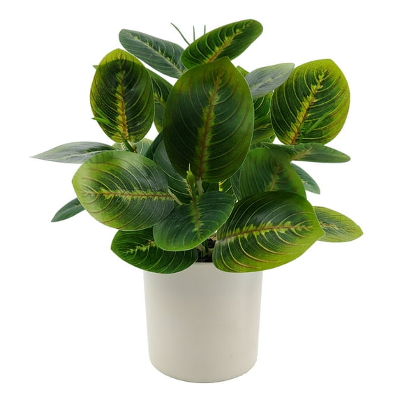 Mainstays Indoor 10 inch Artificial Polyester Prayer Plant In Plastics Pot,Green Color, 1 Piece.
