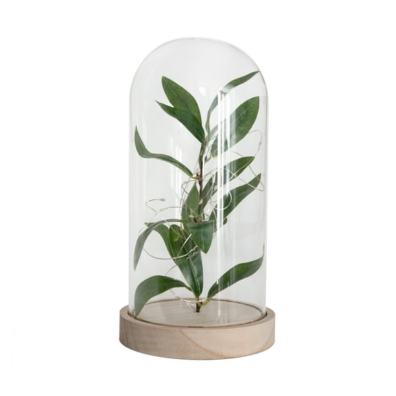Mainstays 10" Indoor Tabletop LED Cloche with Faux Plant