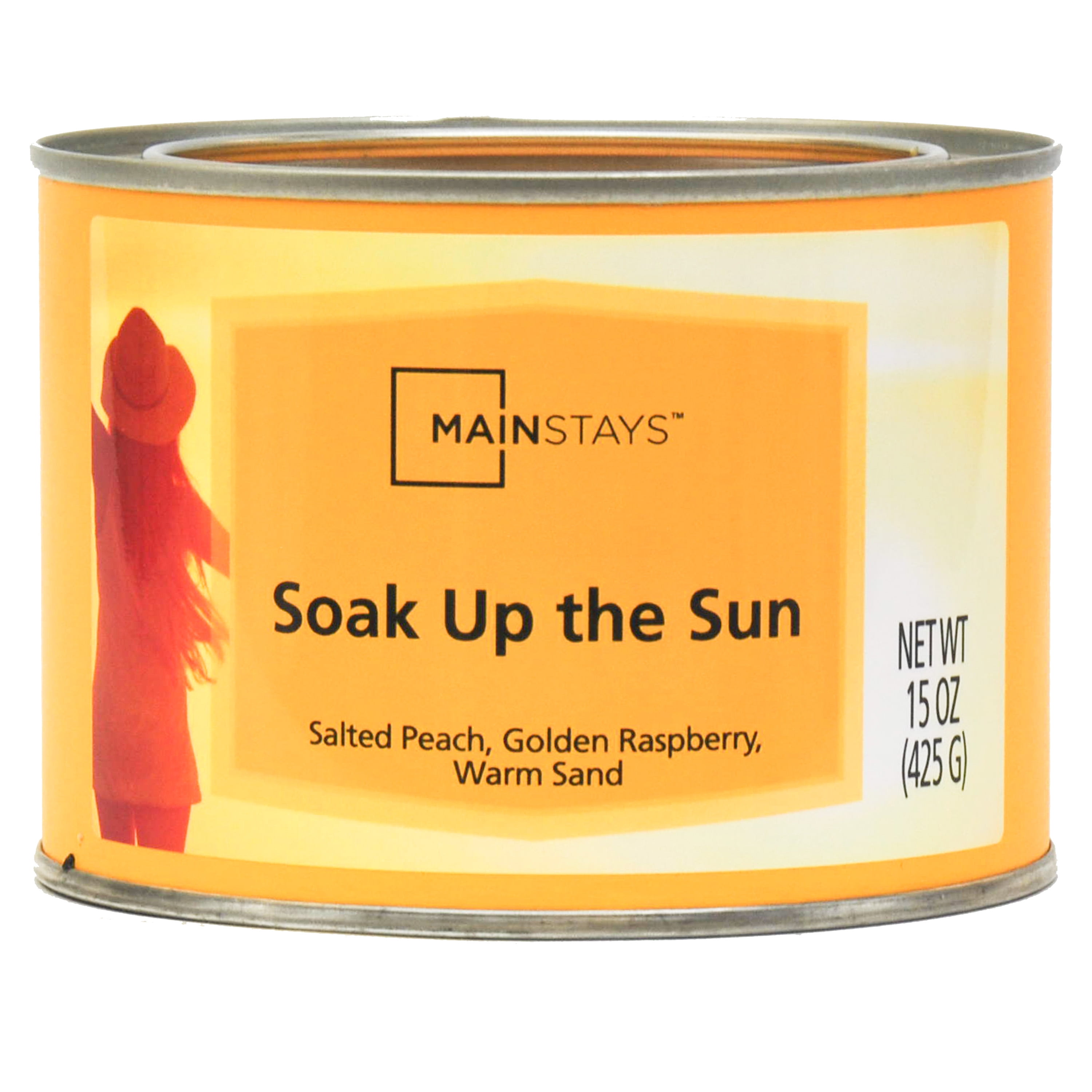 Mainstays Soak Up The Sun Wax Melt, 1.25 oz, 6 Pack