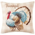 thumbnail image 1 of Mainstays 16" x 16" Reversible Decorative Outdoor Throw Pillow, Turkey, 1 of 9