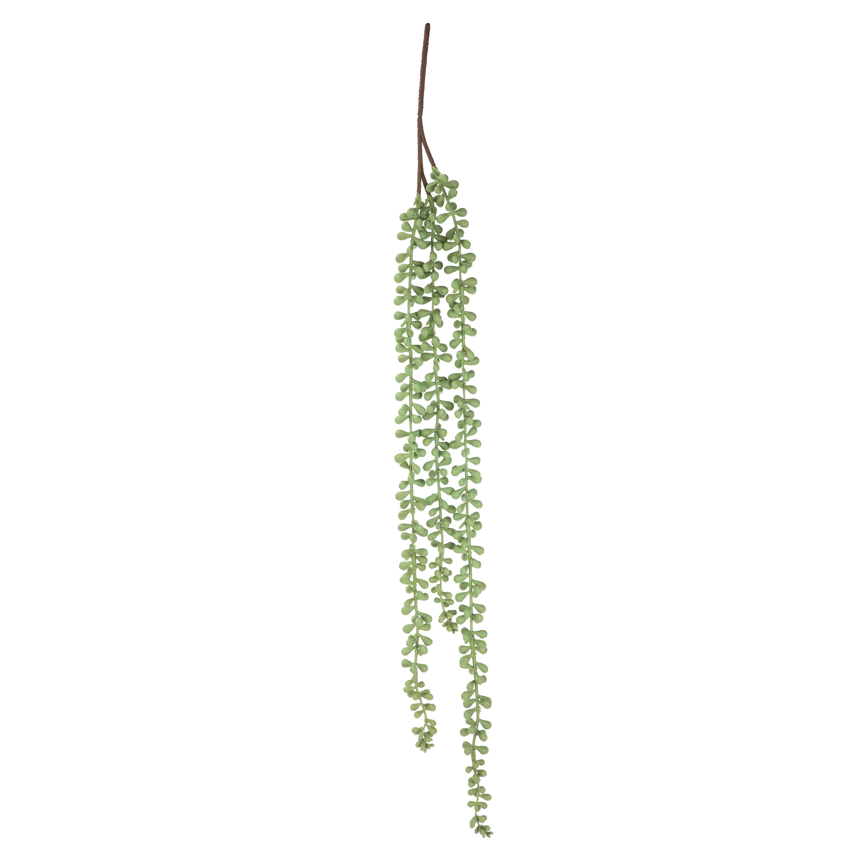 Mainstays 24" Artificial String of Pearls Succulent Pick, Light Green