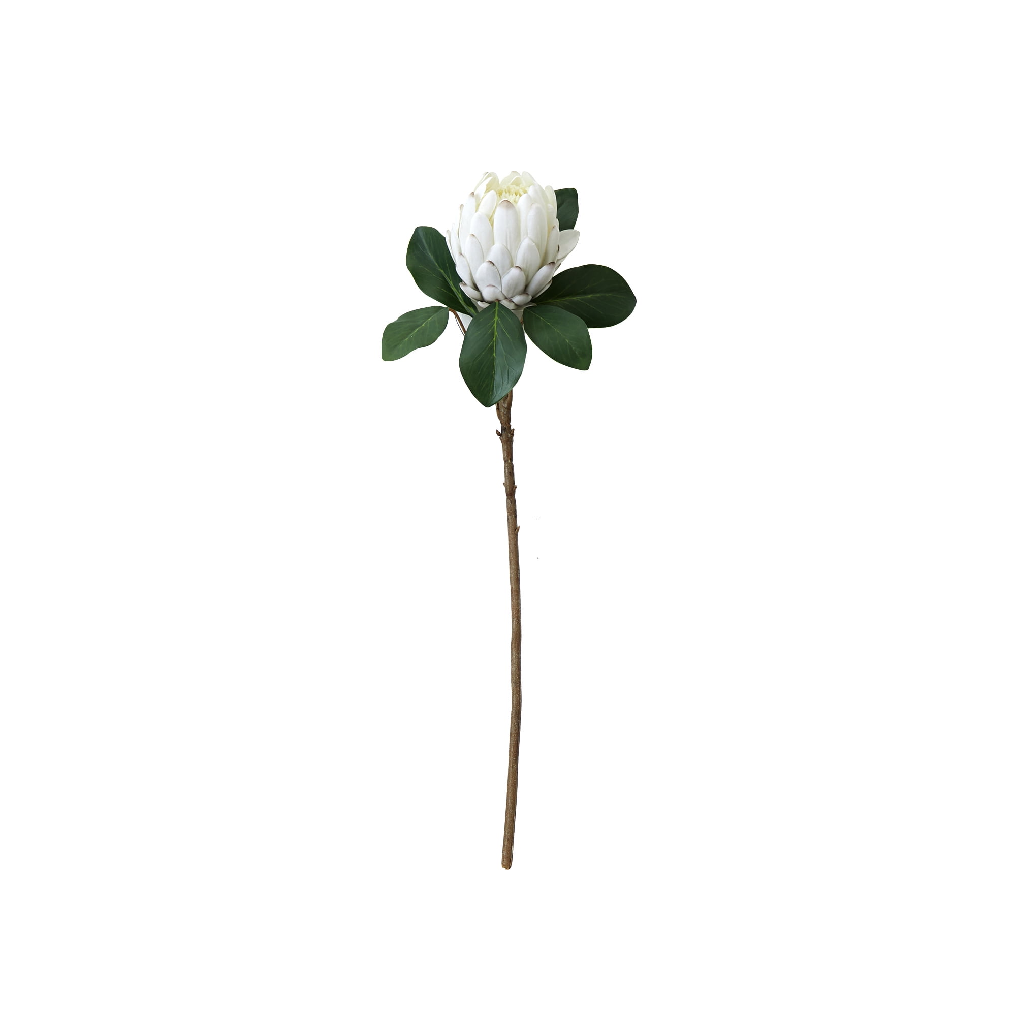 Mainstays 26.5"L Artificial Indoor Silk Protea Stem