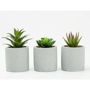 Mainstays 3-Piece Succulent Set in Gray Cement Planters
