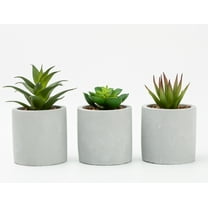 Mainstays 3-Piece Succulent Set in Gray Cement Planters
